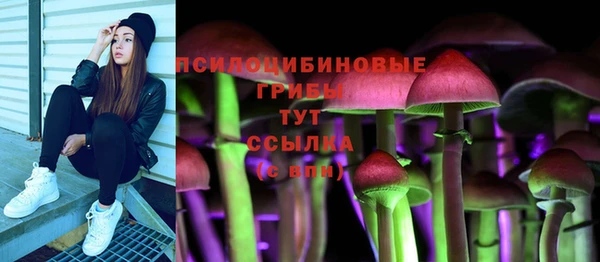 PSILOCYBIN Белокуриха