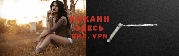 PSILOCYBIN Белокуриха