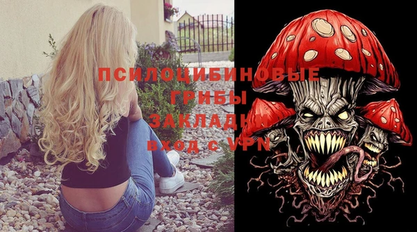 дживик Беломорск