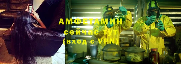 PSILOCYBIN Белокуриха